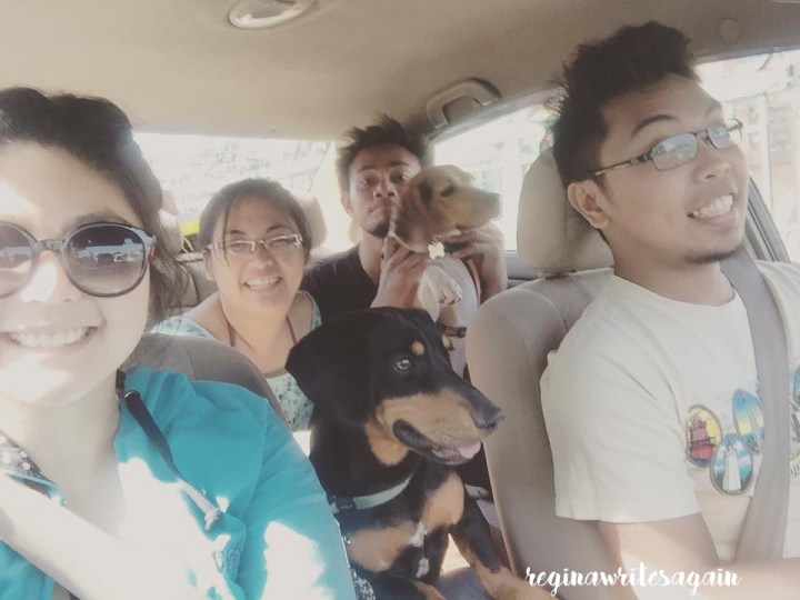 Summer escapade with the dogs! (Budget beach trip with&nbsp;style)