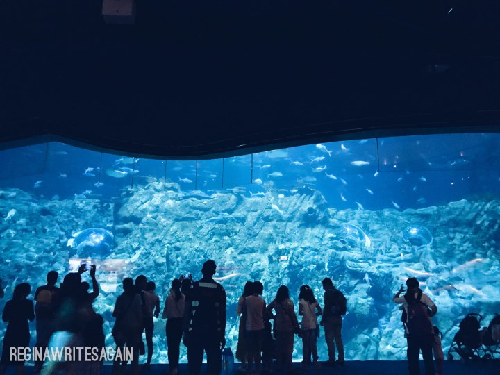 Processed with VSCO with a5 preset