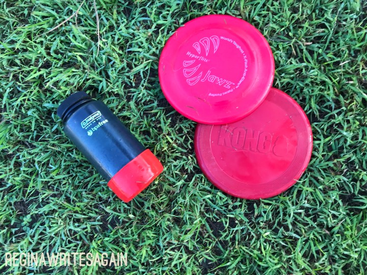 Quality products for pets: Hyperflite Jawz disc and PupCup&nbsp;[Review]